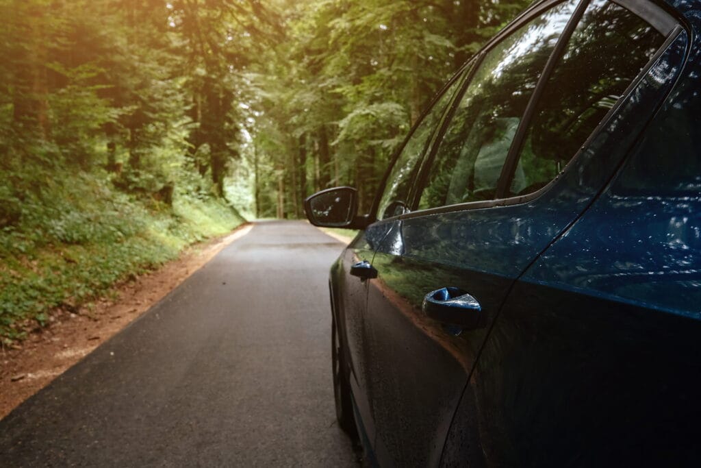 the car on the road with the forest around it 2023 11 27 05 26 49 utc