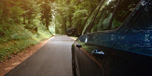 the car on the road with the forest around it 2023 11 27 05 26 49 utc