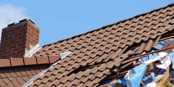 foto bij artikel stormschade