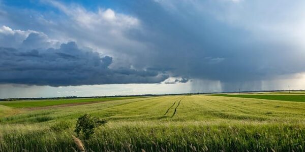 dreigende onweerslucht boven groen nederlands landschap